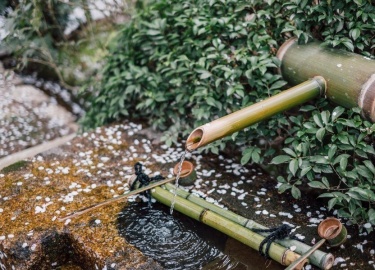 ﻿﻿Многим владельцам загородных домов приходится создавать собственную систему водоснабжения, ведь не всегда удается п...